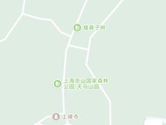 -上海佘山国家森林公园天马山园