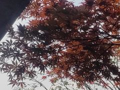 -和顺柏联温泉