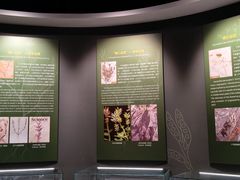 -辽宁古生物博物馆