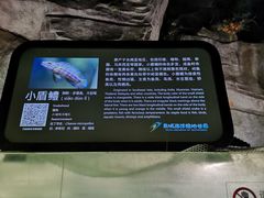 -泉城欧乐堡海洋极地世界