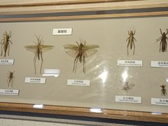-舟山博物馆
