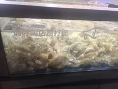 -盒马鲜生(和谐广场店)