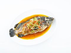 -南海渔村(珠江新城店)