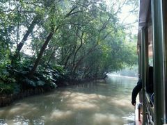 -大湾区中央湿地公园