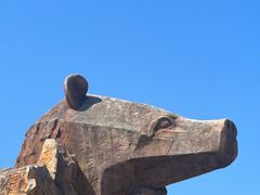 -上海野生动物园