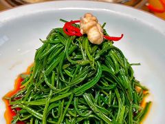 -蒙料·手把肉(望京店)