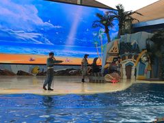 -三亚海昌梦幻海洋不夜城