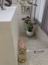 -三只熊皮肤管理中心旗舰店