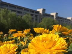 -江南大学(蠡湖校区)