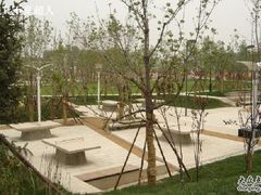 -天津东丽湖风景区