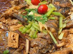 -老板恋上鱼(恒隆广场店)