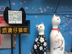 -猫咪博物馆(顶澳仔猫街店)