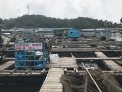 -海上驿站渔家菜馆