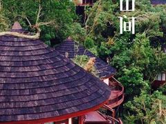 -三亚亚龙湾人间天堂鸟巢度假村