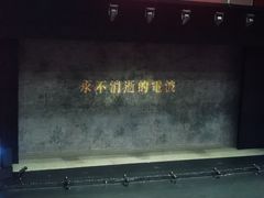 -合肥大剧院