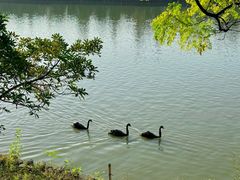 -艾溪湖湿地公园