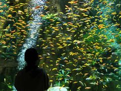 -合肥海洋世界