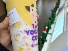 -一只酸奶牛(春熙路店)