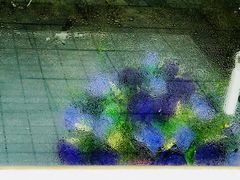 -花博汇(知音花月夜)