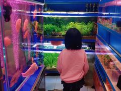 -双季花艺园艺市场(浦东店)