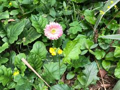 -广东茂名森林公园