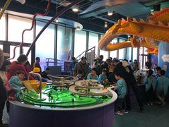 -中国宋庆龄青少年科技文化交流中心