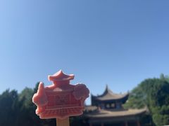 -西安碑林博物馆