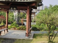 -广州神农草堂中医药博物馆