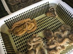 -天盛海鲜烧烤大排档·本地小海鲜·牟平腿穗子(幸福店)
