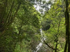 -石台牯牛降景区