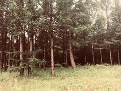 -塞罕坝国家级自然保护区