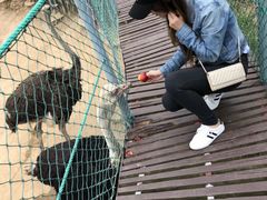 -西霞口神雕山野生动物世界