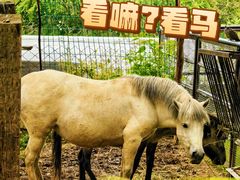 -青藏高原野生动物园