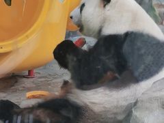 -灵玲国际马戏城