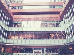 -香港大学