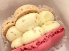 撞色玫瑰鹿卡龙-瑞幸咖啡(东城汇店)