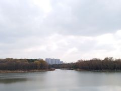 -昆山城市生态森林公园