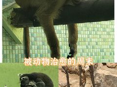 -太原动物园