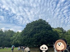 -灵谷景区
