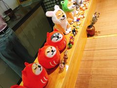 -柴务处·柴犬主题狗咖