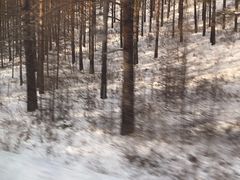 -北极村旅游风景区