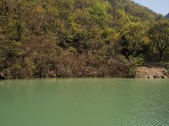 -东海大峡谷