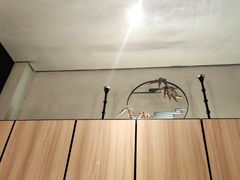 -滇铺子(欣都龙城店)