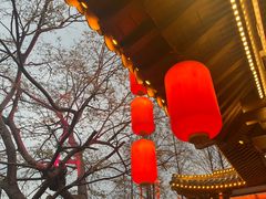 -东湖磨山景区樱花园-停车场