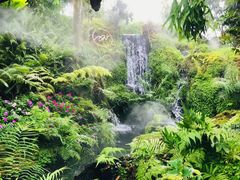 -Chom Cafe and Restaurant