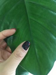 -米小兔美甲美睫