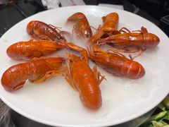 -红盔甲·小龙虾(人民广场店)
