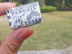 -苏州蜜饯门市部