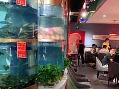 -蜀滋香鲜鱼美蛙火锅(339店)
