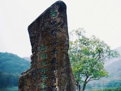 -龙坞茶村